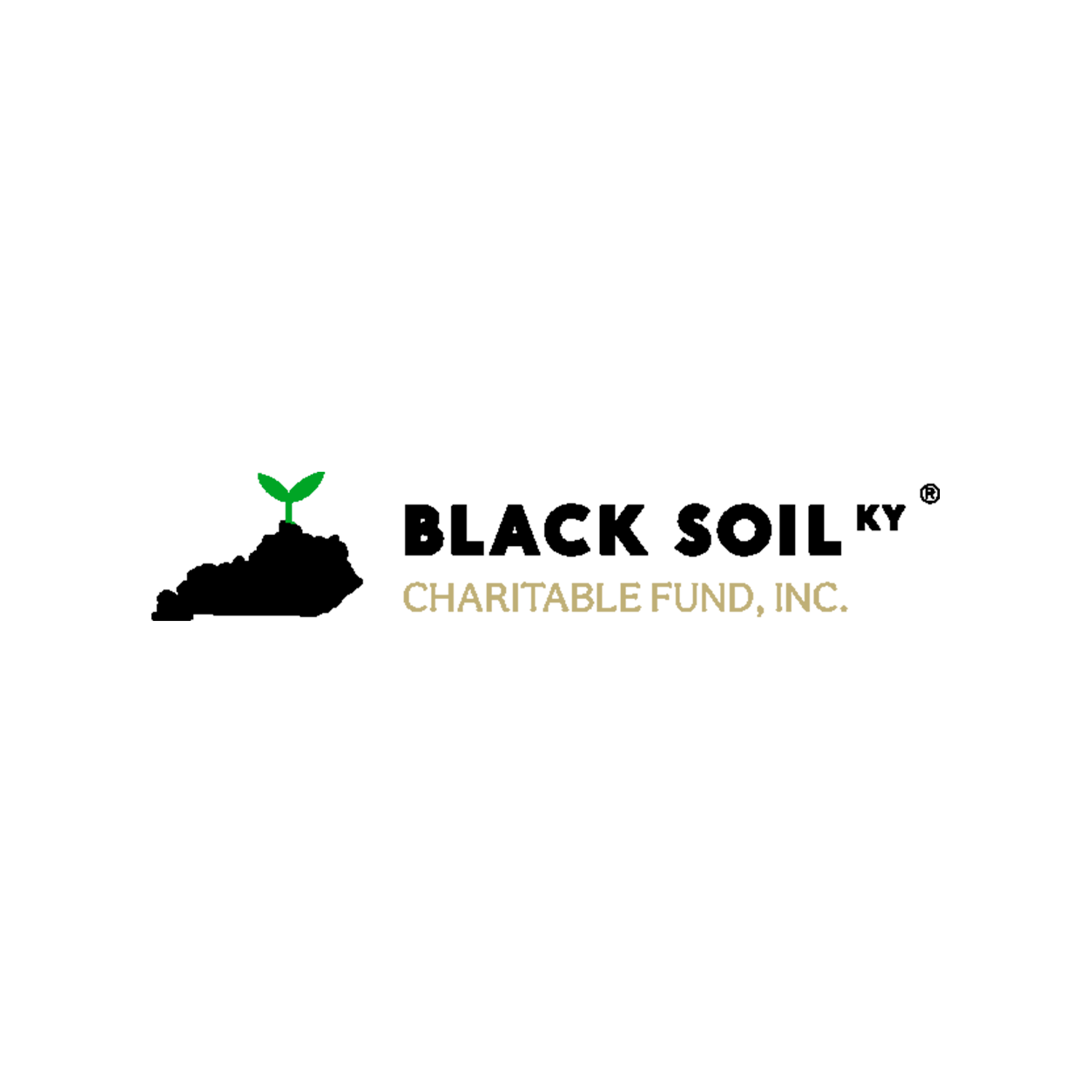 Black Soil KY