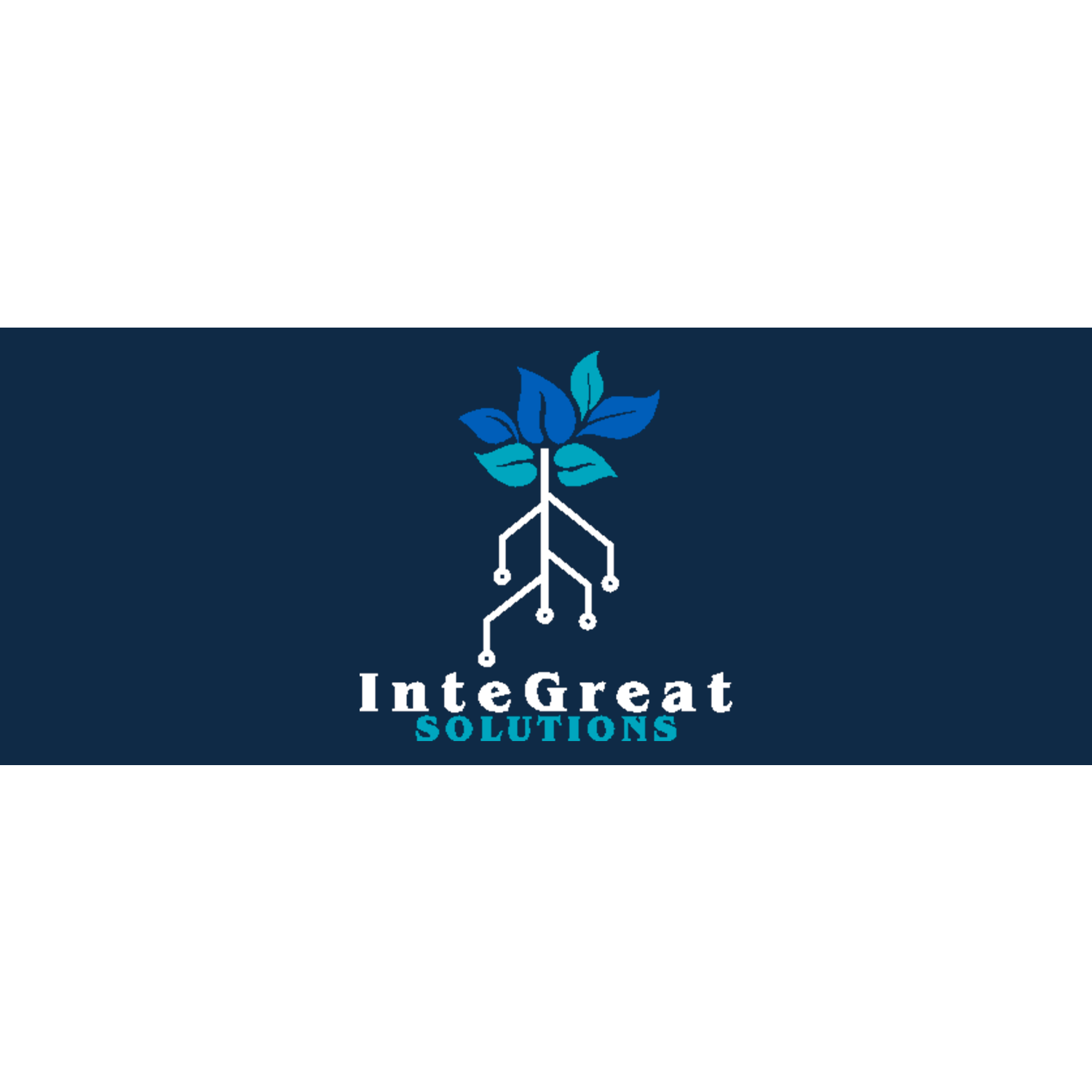 InteGreat Solutions