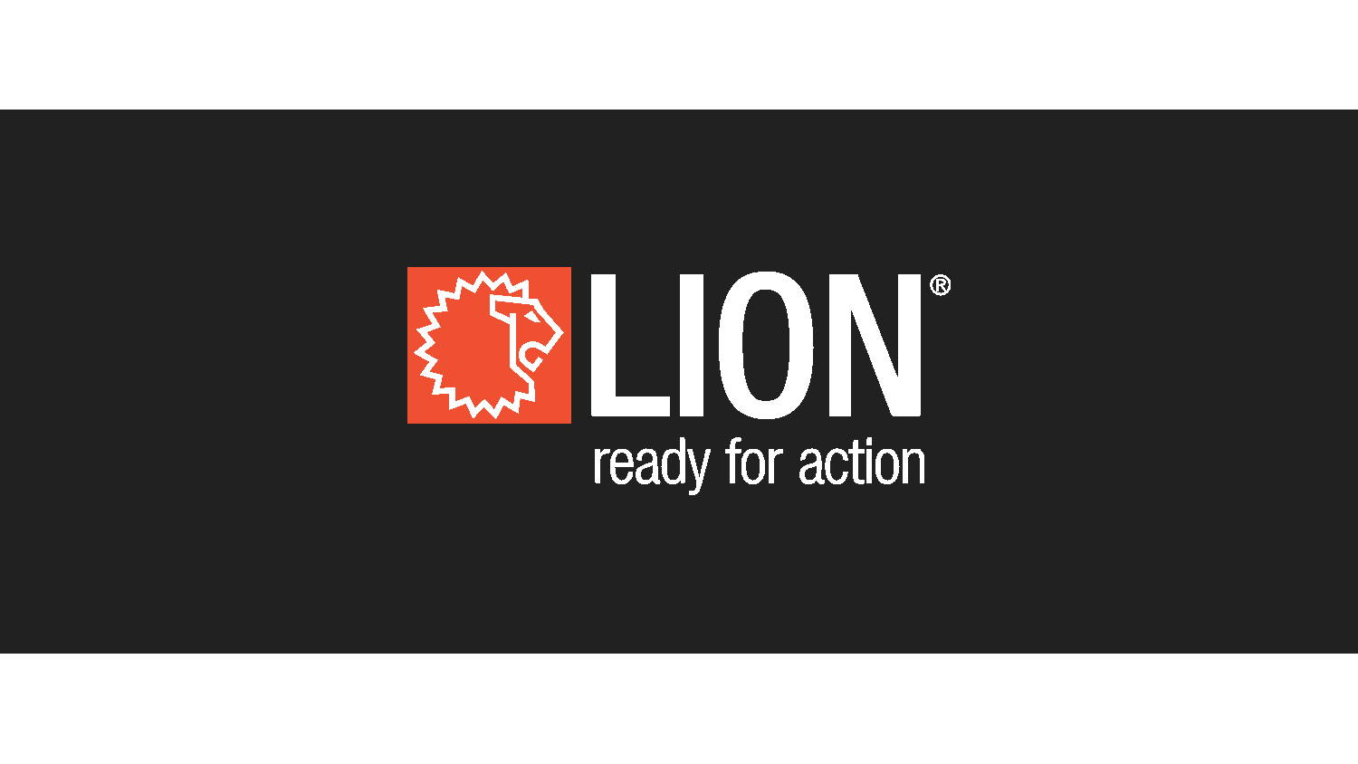 Lion Group