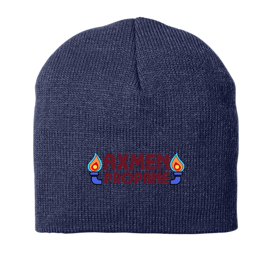 AxMen CP91 Port Authority Beanie