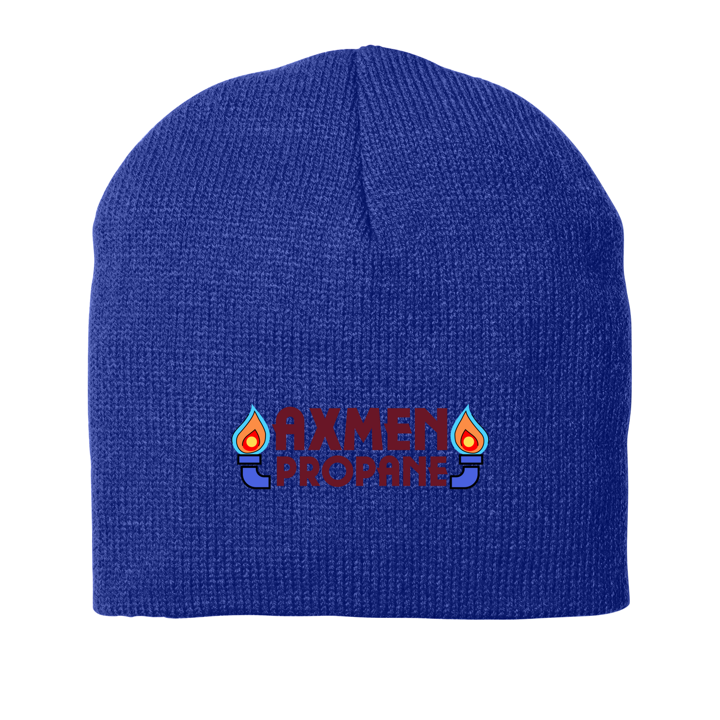 AxMen CP91 Port Authority Beanie