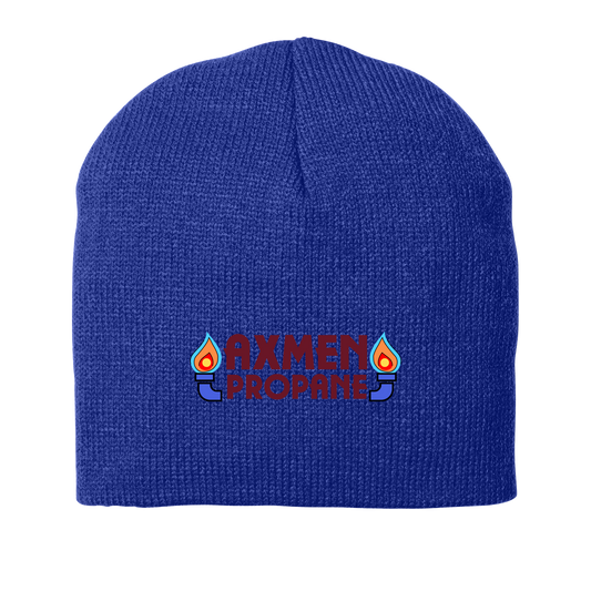 AxMen CP91 Port Authority Beanie
